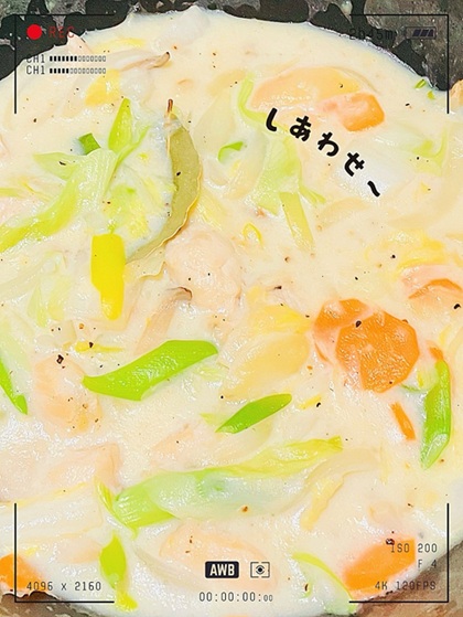 お野菜と鶏肉のクリーム 煮込み